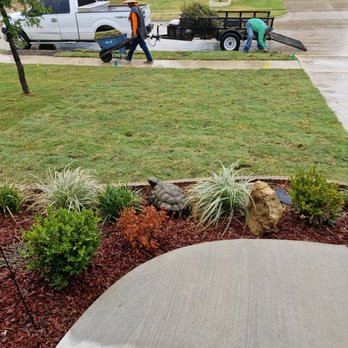 Rodriguez Landscaping - Brought in top soil and sod to front yard - Landscaping Near Me Rodriguez Landscaping - Brought in top soil and sod to front yard - Landscaping Near Me