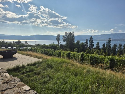 Home Block at CedarCreek Estate Winery by null