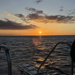 Manta Ray Dives of Hawaii - Sunset 3/11/25