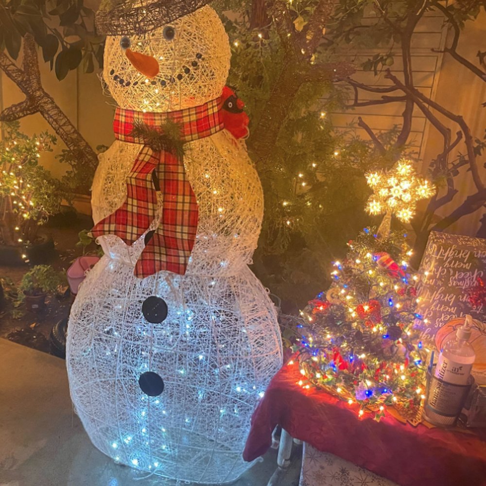 Happy Days Child Development Center - Christmas festive lights - Child Care & Day Care Near Me - Santa Clara, California