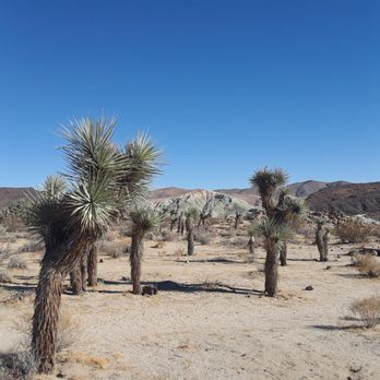 Red Rock Canyon State Park - Hiking Near Me - Cantil, California Red Rock Canyon State Park - Hiking Near Me - Cantil, California