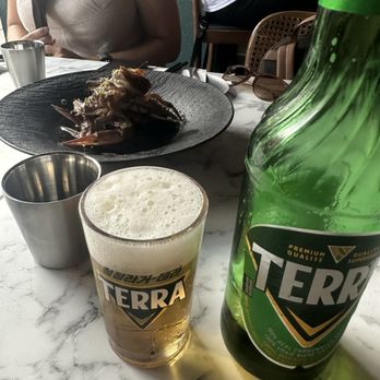 Comma - Terra! - Korean Near Me - Toronto, Ontario