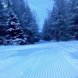 Craftsbury Outdoor Center - Optimal snow conditions at Craftsbury for winter recreation - 2/1/2026