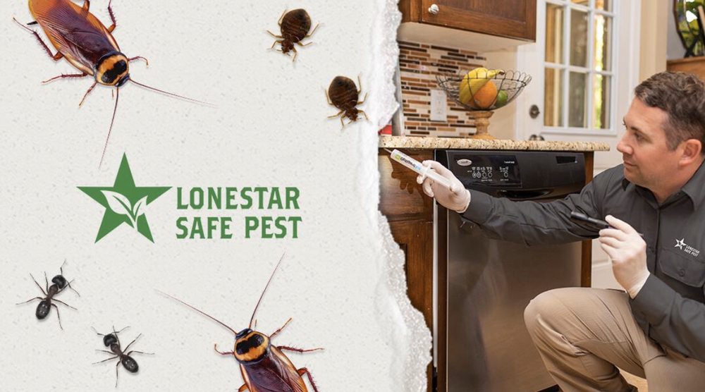LONESTAR SAFE PEST Updated September 2024 13 Photos & 31 Reviews