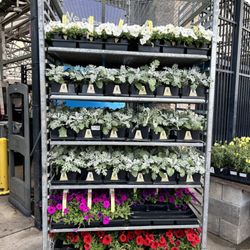 Lowe's Home Improvement