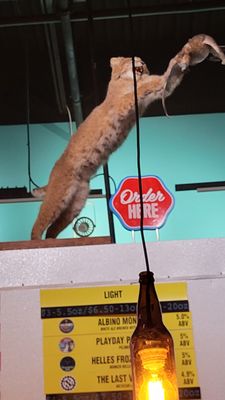 Strangeways Brewing Williamsburg by null