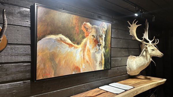 Rainbow Lodge by null