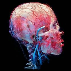 Pys Headache and Pain Clinic