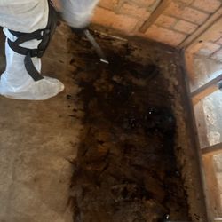 Desert Valley Abatement - Scraping and scrubbing black mastic asbestos mastic flooring