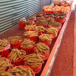 G P Farm - Veg.
