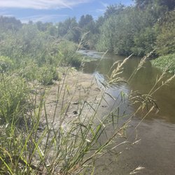 LA River Expeditions - River and the green vegetation along it during the day with some wispy clouds