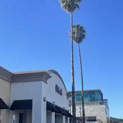 Michaels - Storefront