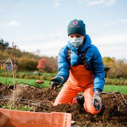 Pacific Crest School - Middle School Working at the Farm.