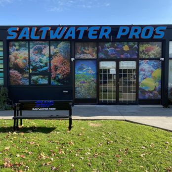 Saltwater Pros - Aquarium Services Near Me - Toronto, Ontario Saltwater Pros - Aquarium Services Near Me - Toronto, Ontario