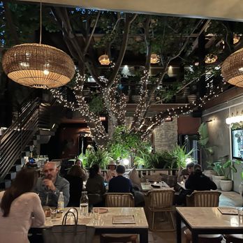 Mirate - Seating downstairs by the magnificent tree - Mexican Near Me - Los Angeles, California Mirate - Seating downstairs by the magnificent tree - Mexican Near Me - Los Angeles, California