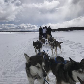 Alpine Adventures - Active Life Near Me - Leadville, Colorado Alpine Adventures - Active Life Near Me - Leadville, Colorado