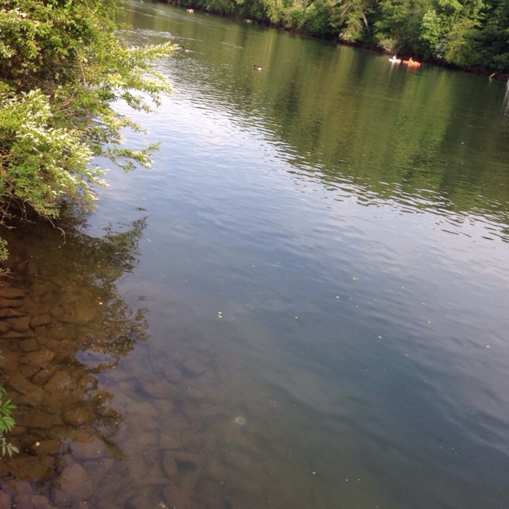 The hooch.