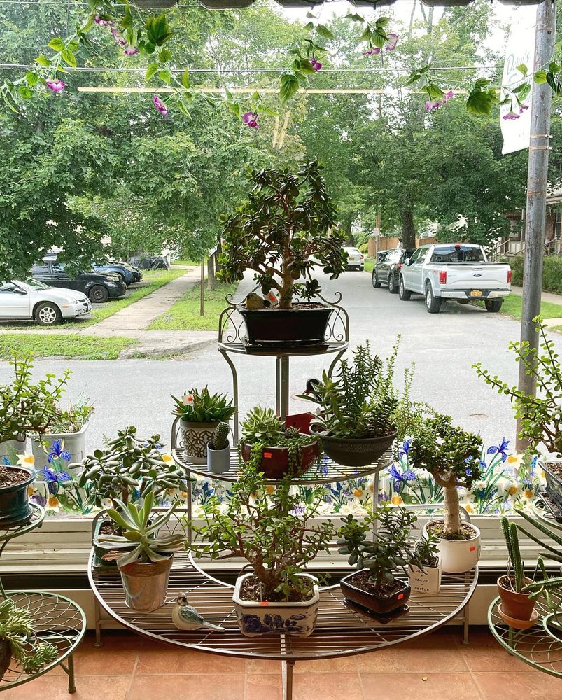 DEHN’S FLOWERS Updated October 2024 80 Photos & 13 Reviews 178