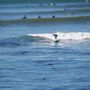 Photo of Surf School Santa Cruz