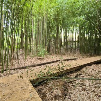 Sky Top Orchard - Bamboo trail - Pick Your Own Farms Near Me - Zirconia, North Carolina
