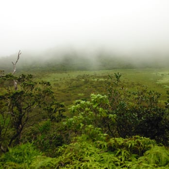 Ka'au Crater - from the crater - Hiking Near Me - Honolulu, Hawaii Ka'au Crater - from the crater - Hiking Near Me - Honolulu, Hawaii