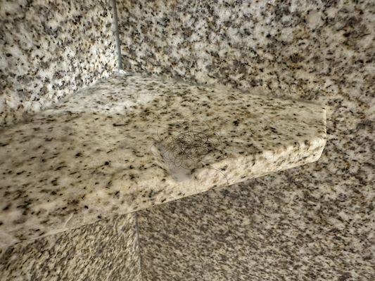 Zermatt Utah Resort & Spa by null