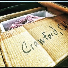 I never dreamt that I would have to collect my 22 year old daughter in a cardboard box.