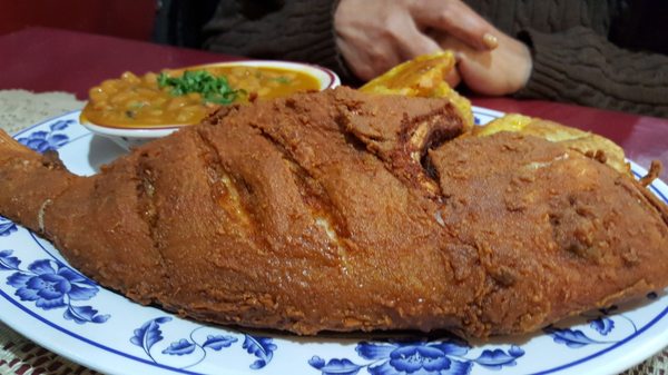 Mi Lindo Ecuador 182 Bloomfield Ave Newark Nj Seafood Markets - Mapquest Mi Lindo Ecuador 182 Bloomfield Ave Newark Nj Seafood Markets - Mapquest