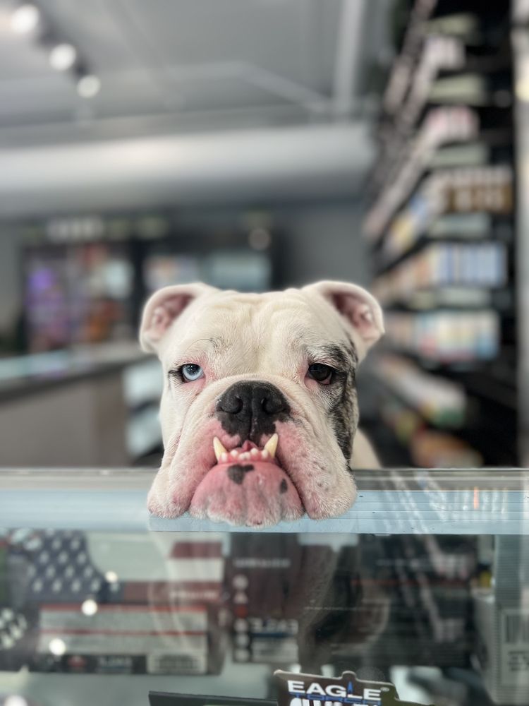 IGNITE DISPENSARY Updated August 2024 1550 N Water St, Milwaukee