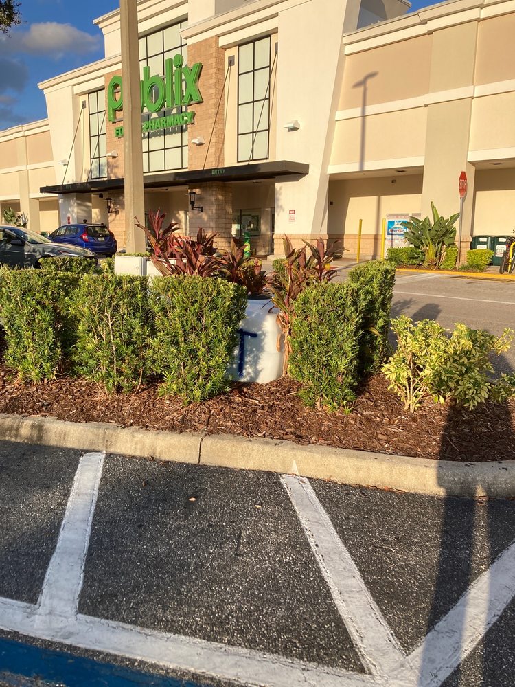 PUBLIX Updated September 2024 51 Photos & 33 Reviews 409 S