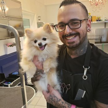 Vanderpump Dogs - This is Maddy and Martin, before shot. - Pet Adoption Near Me - Los Angeles, California Vanderpump Dogs - This is Maddy and Martin, before shot. - Pet Adoption Near Me - Los Angeles, California
