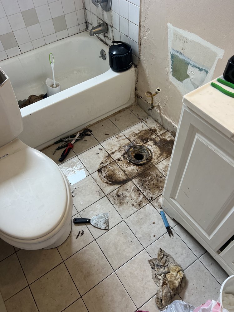 Slide of Clogs For US