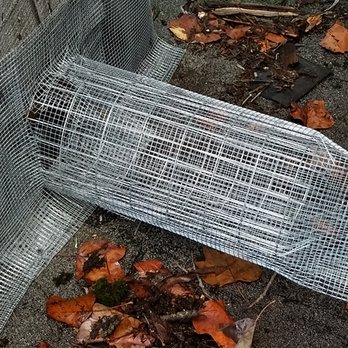 Verminators - Wildlife Control Near Me Verminators - Wildlife Control Near Me