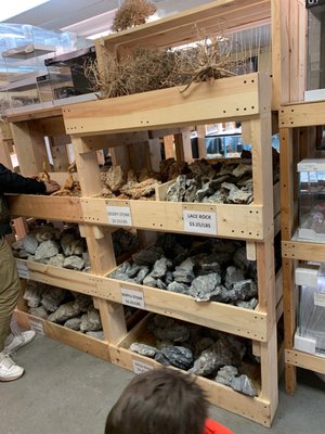 Quality Aquatics Pet Shop 9205 Lexington Ave N Circle Pines Mn Pet Shops Mapquest