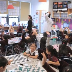 New York Chess & Game Shop