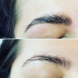 Lashed+ 