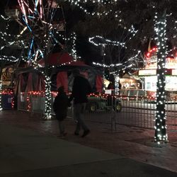Winter Wonderland