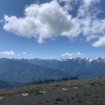 Hurricane Ridge - Parks Near Me - Port Angeles, Washington Hurricane Ridge - Parks Near Me - Port Angeles, Washington