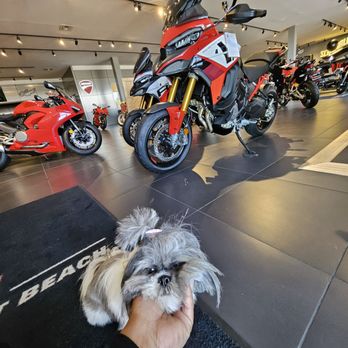 TOP 10 BEST Motorcycle Rental in Newport Beach, CA - Updated 2026