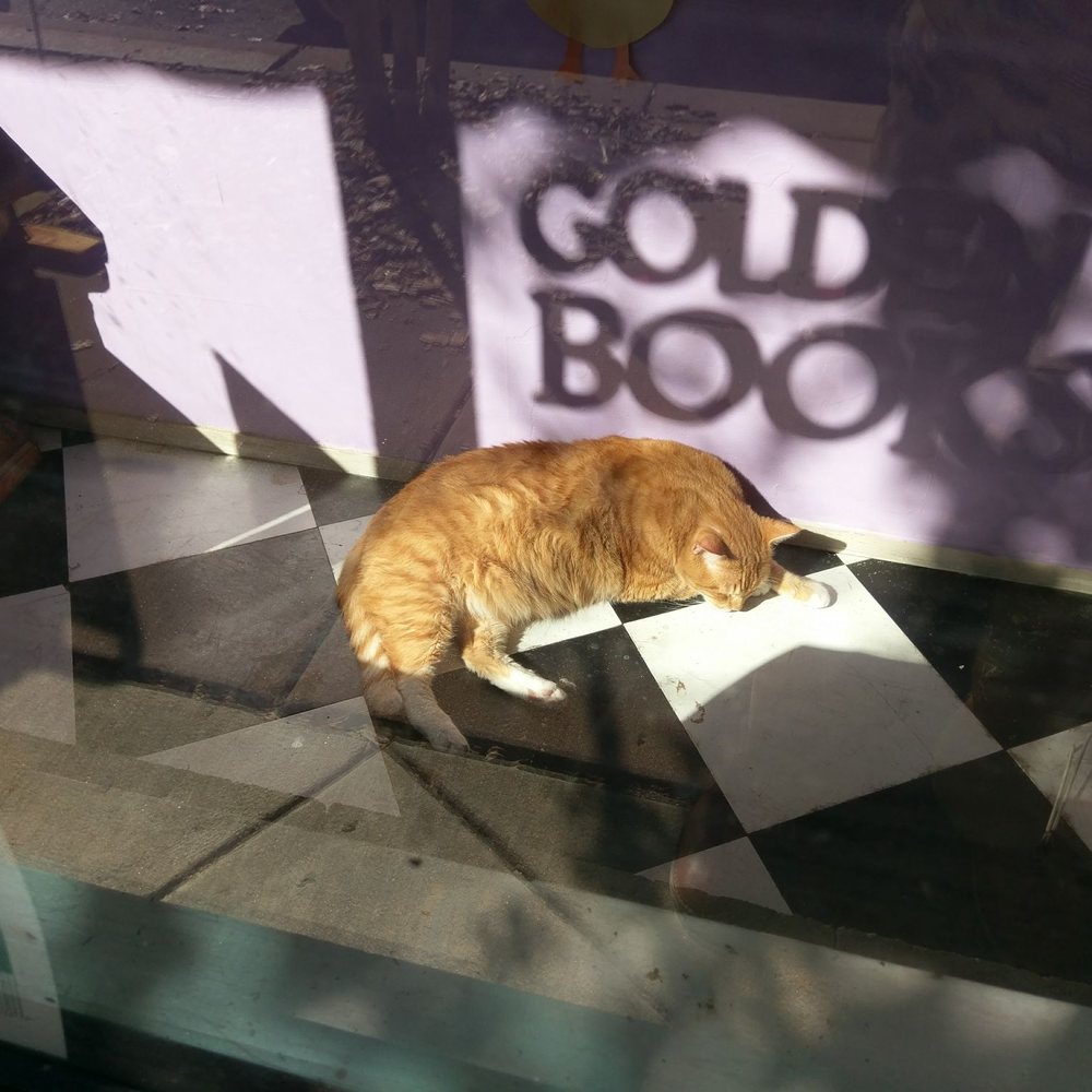 Golden Bough - A sleeping cat can make any place a home. - Bookstores Near Me - Macon, Georgia Golden Bough - A sleeping cat can make any place a home. - Bookstores Near Me - Macon, Georgia