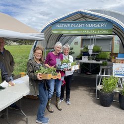 Natural Shore - Natural Shore Retail Native Plant Nursery