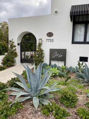 Orli La Jolla by null