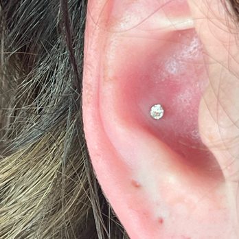 Wicked Wayz - New conch jewelry for reference - Piercing Near Me - Lodi, California