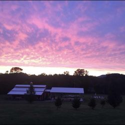 The Barn at Williams Manor - This view!!