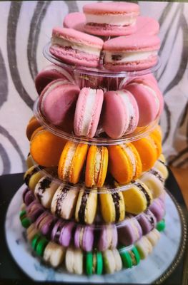 Boston Bonbon by null