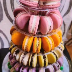 Boston Bonbon
