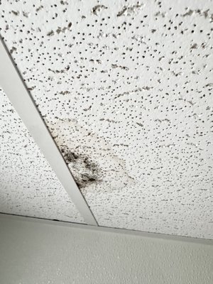 Admiral Hotel by null