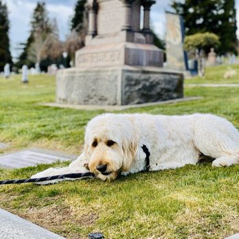 Calvary Cemetery - Today's visit! - Funeral Services & Cemeteries Near Me - Seattle, Washington