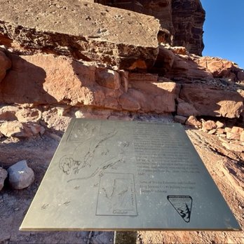 Poison Spider - Dinosaur Tracks - Hiking Near Me - Moab, Utah Poison Spider - Dinosaur Tracks - Hiking Near Me - Moab, Utah