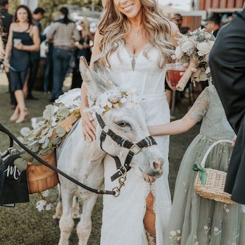 Rayshell Ranch - Venues & Event Spaces Near Me - Loxahatchee, Florida